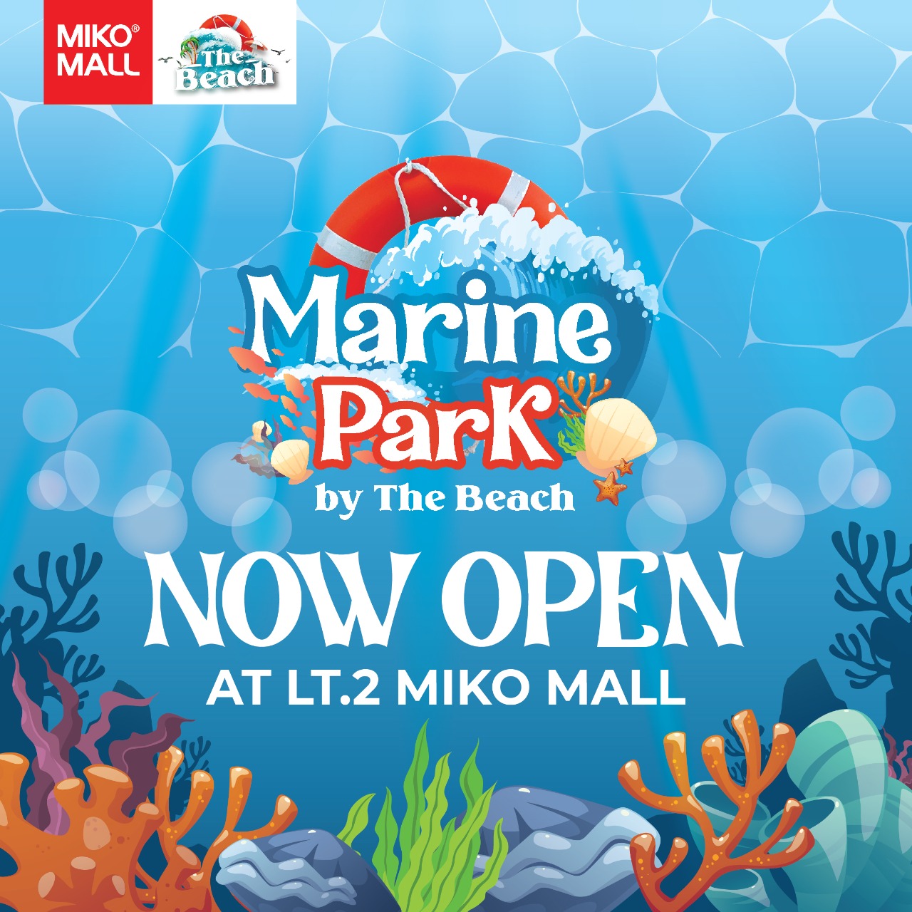 Read more about the article MARINE PARK by The Beach ??